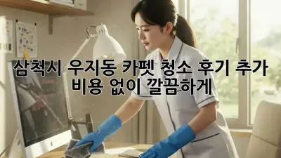 삼척시 우지동 카펫 청소🧹 후기! 추가 비용 없이 깔끔하게✨