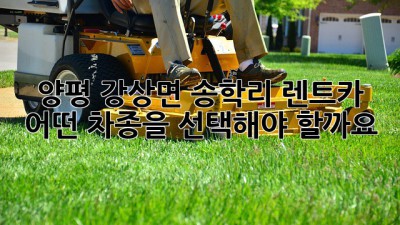 양평 강상면 송학리 렌트카, 어떤 차종을 선택해야 할까요?
